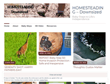 Tablet Screenshot of homesteadingdownsized.com
